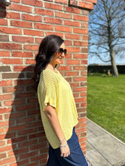 Lemon Mesh Panel Knit Top Caroline