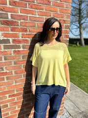 Lemon Mesh Panel Knit Top Caroline