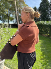 Tan Collared Short Sleeve Knit Annie