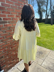 Lemon Embroidered Ruffle Dress Taylor
