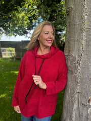 Red Chenille Silver Fleck Hoodie Lisa