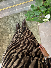 Mocha Velour Tiger Print Dress Haven