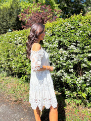 Stone Lace Panel Dress Verity