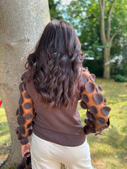 Chocolate Applique Mesh Sleeve Knit Celine