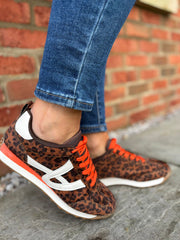 Leopard Sadie Trainers
