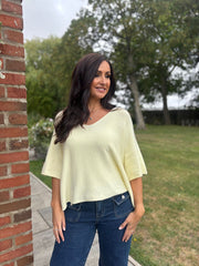 Lemon V-Neck Reverse Seam Knit Diana