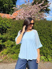Light Blue Net Sleeve Top Julia