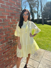 Lemon Embroidered Ruffle Dress Taylor