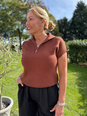 Tan Collared Short Sleeve Knit Annie