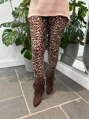 Chocolate Leopard Leggings