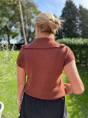 Tan Collared Short Sleeve Knit Annie