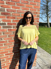 Lemon Mesh Panel Knit Top Caroline