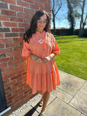 Orange Embroidered Ruffle Dress Taylor