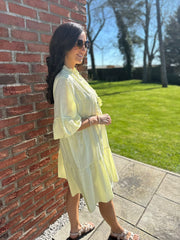 Lemon Embroidered Ruffle Dress Taylor