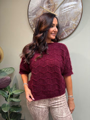 Wine Short Sleeve Chevron Knit Kenna