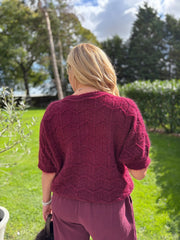 Wine Short Sleeve Chevron Knit Kenna
